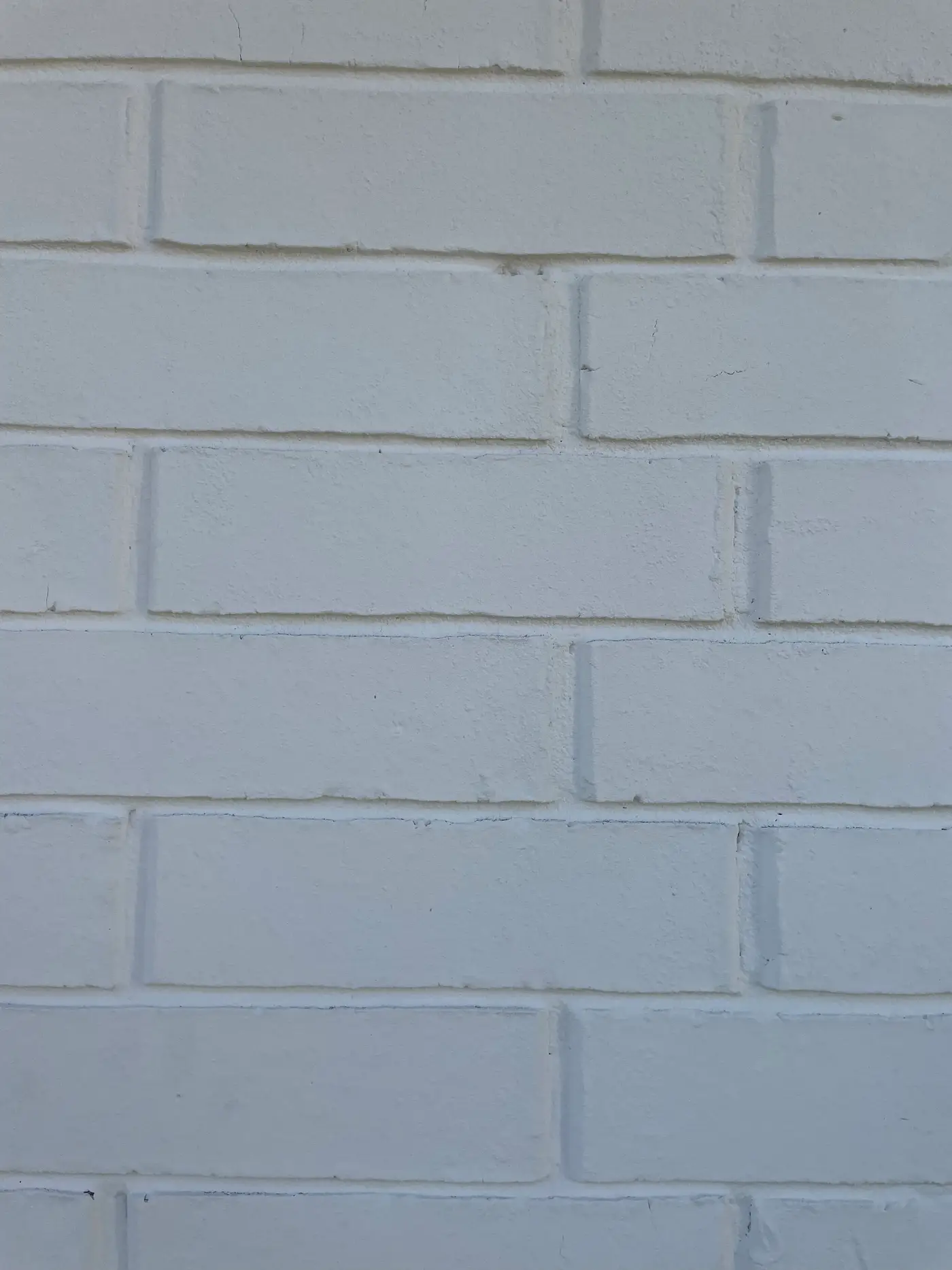 A close view of a limewashed brick wall. The mortar joints and the texture of each brick still read clearly through the finish, which has softened the colour rather than covering it.